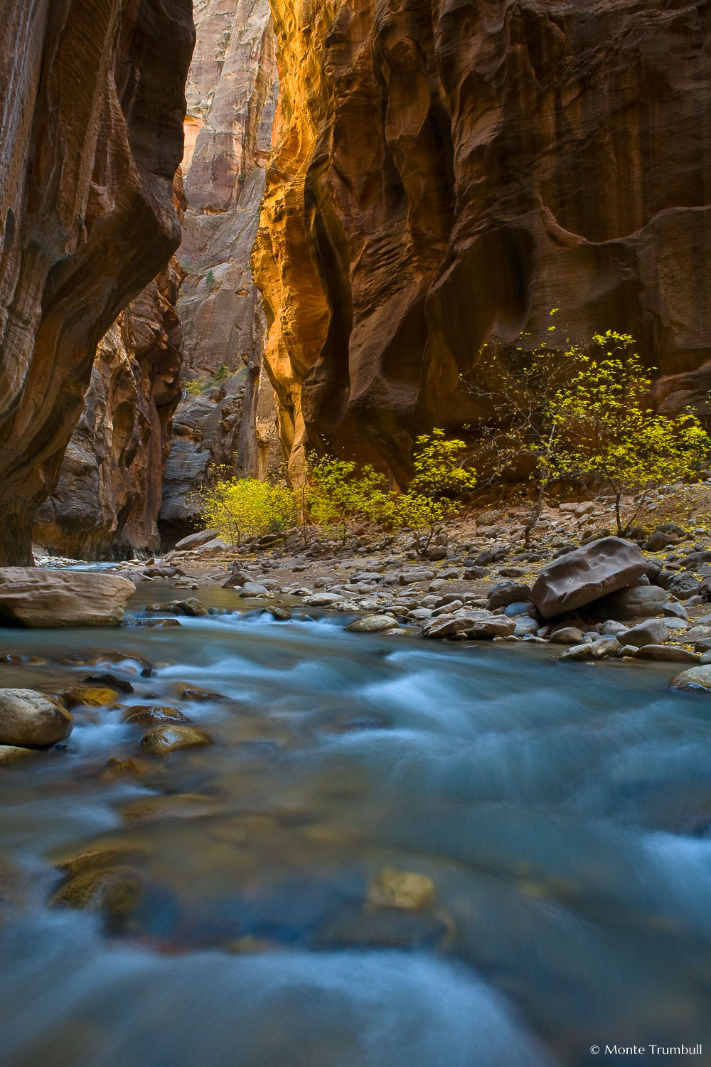 MT-20071104-130849-0023-Edit-Utah-Zion-National-Park-Narrows-fall-color.jpg