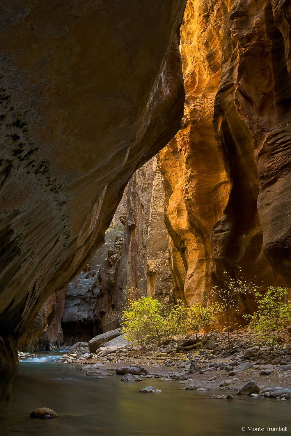 MT-20071104-131508-0028-Edit-Utah-Zion-National-Park-Narrows-fall-color.jpg