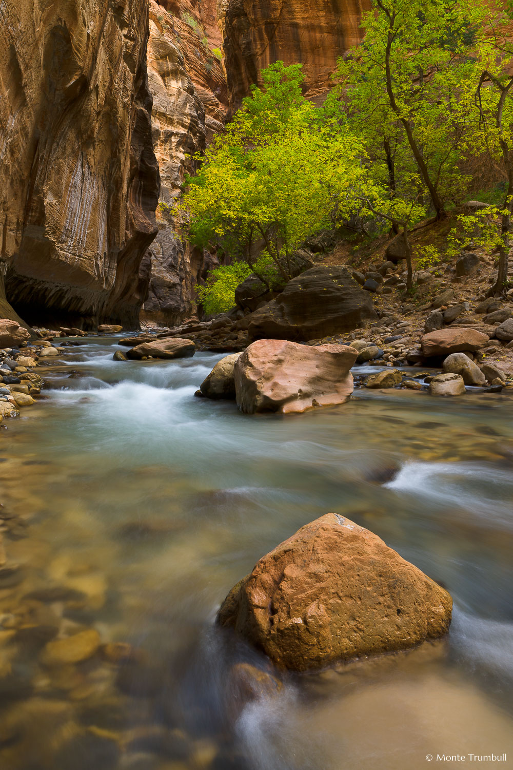 MT-20101104-135634-0061-Utah-Zion-National-Park-Narrows-early-fall-flowing-water.jpg