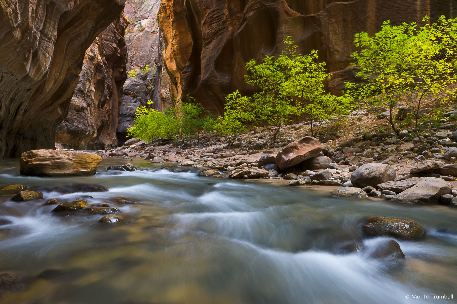 MT-20101104-141205-0067-Utah-Zion-National-Park-Narrows-early-fall-flowing-water.jpg