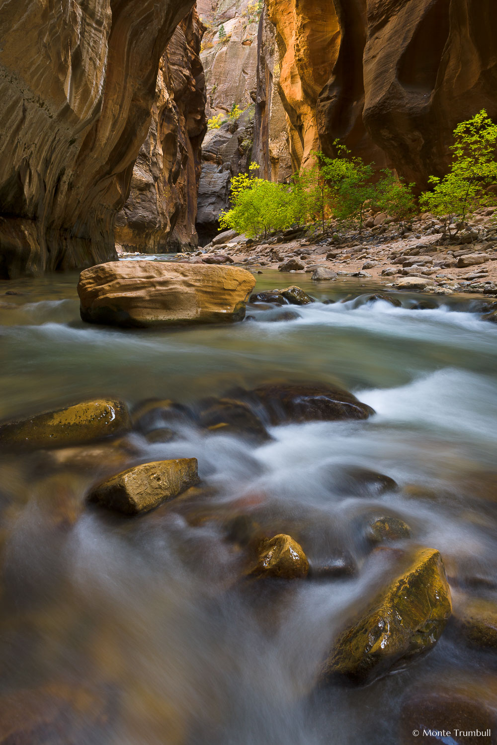 MT-20101104-142010-0073-Utah-Zion-National-Park-Narrows-flowing-water.jpg