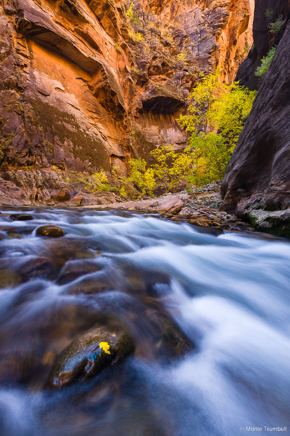 MT-20121106-111741-0001-Utah-Zion-National-Park-Narrows-fall-color-flowing-water.jpg