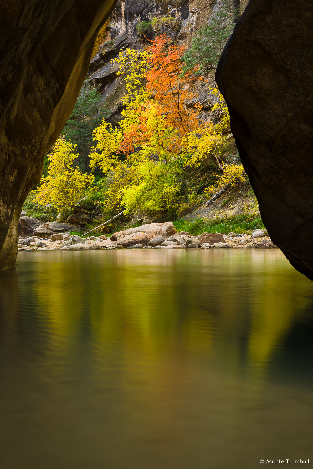 MT-20121108-144209-0069-Utah-Zion-National-Park-Narrows-fall-color-reflection.jpg