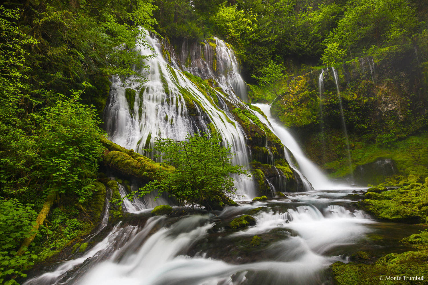 MT-20130519-082937-0008-Panther-Falls-Washington-spring.jpg