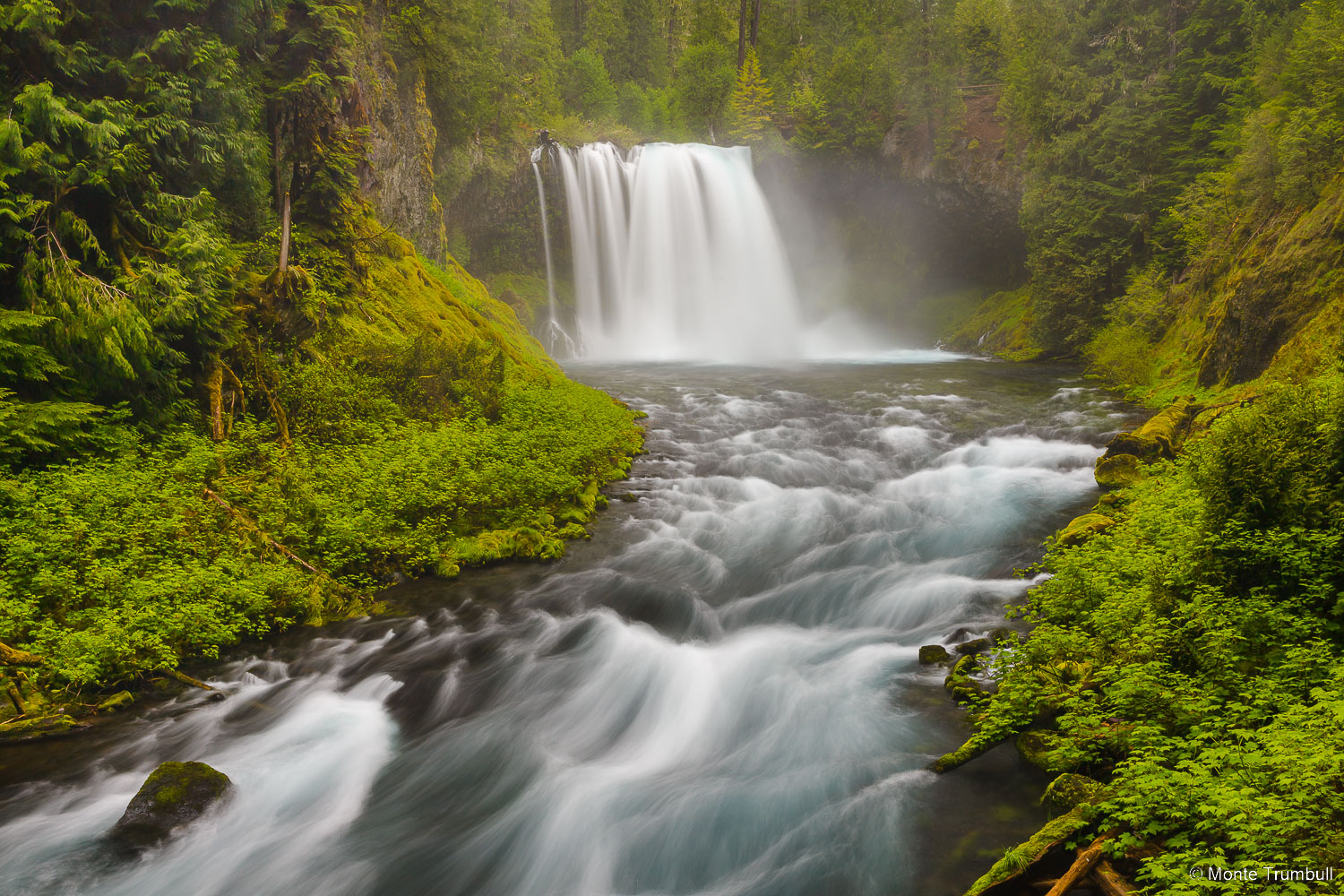 MT-20130523-124343-0039-Koosah-Falls-Willamette-National-Forest-spring.jpg