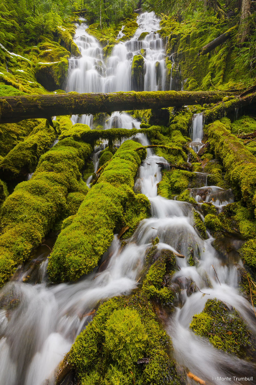 MT-20130523-153511-0069-Upper-Proxy-Falls-Willamette-National-Forest-Oregon-spring.jpg