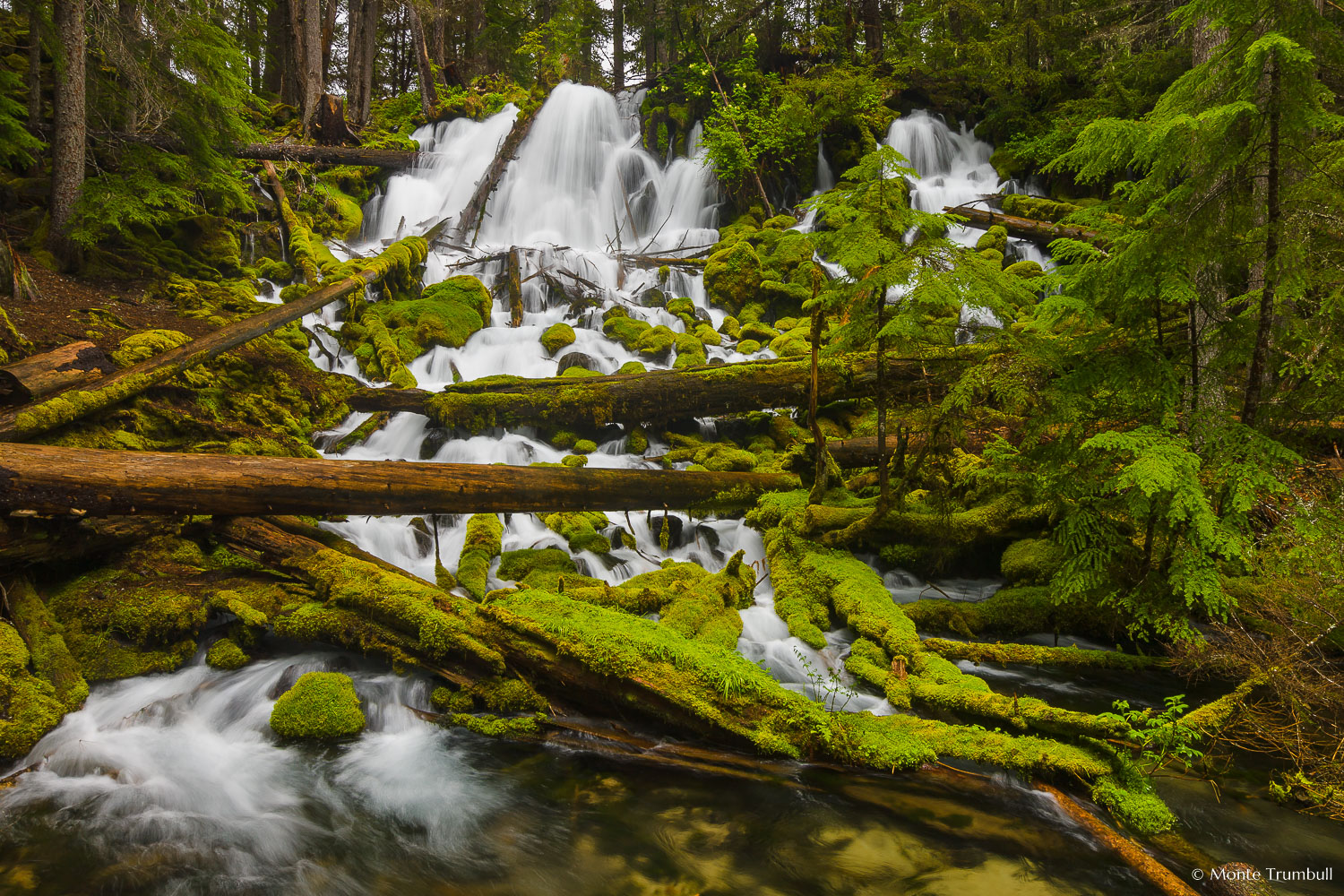 MT-20130529-145754-0059-Clearwater-Falls-Umpqua-National-Forest-Oregon-spring.jpg