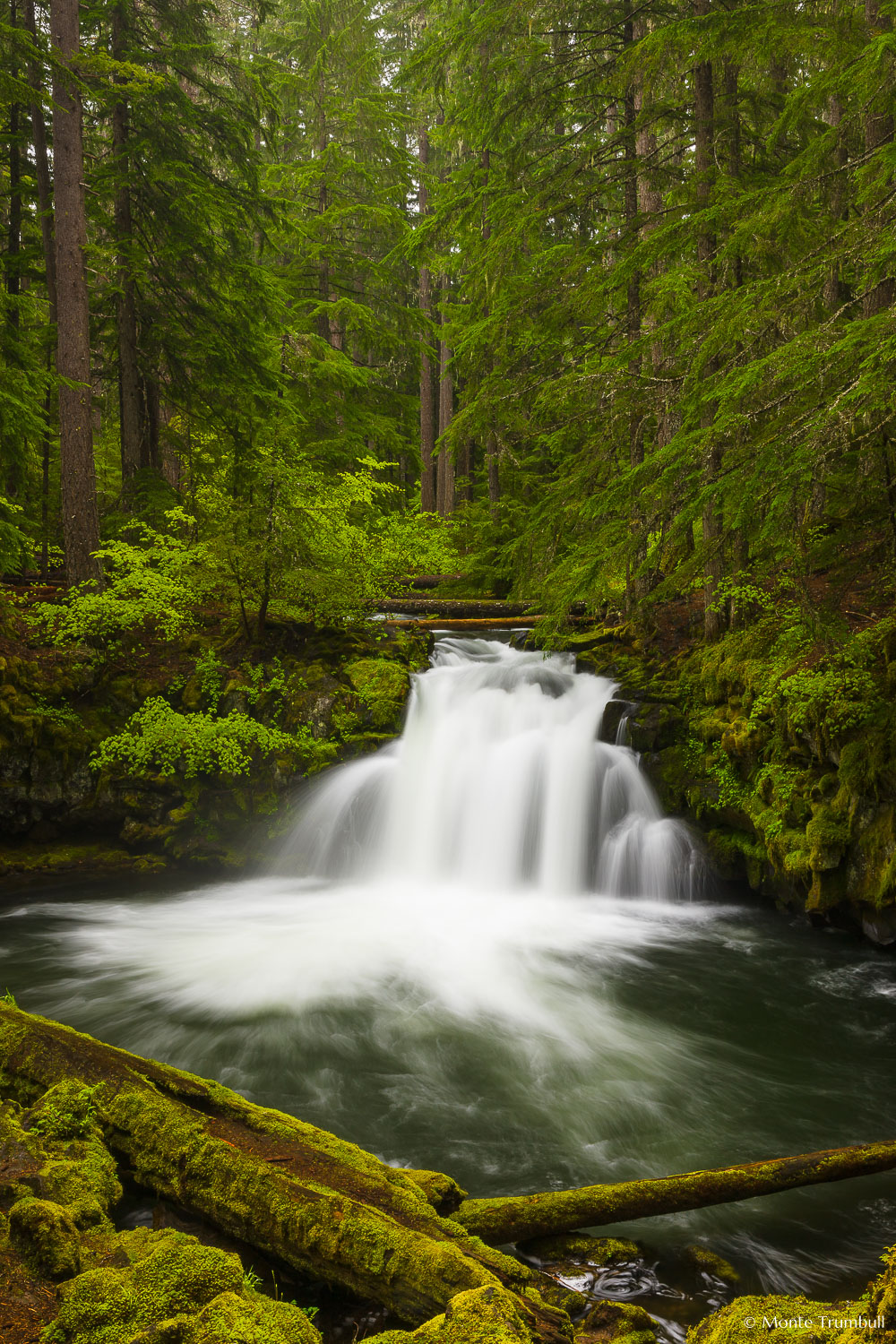 MT-20130529-152938-0077-Clearwater-Falls-Umpqua-National-Forest-Oregon-spring.jpg