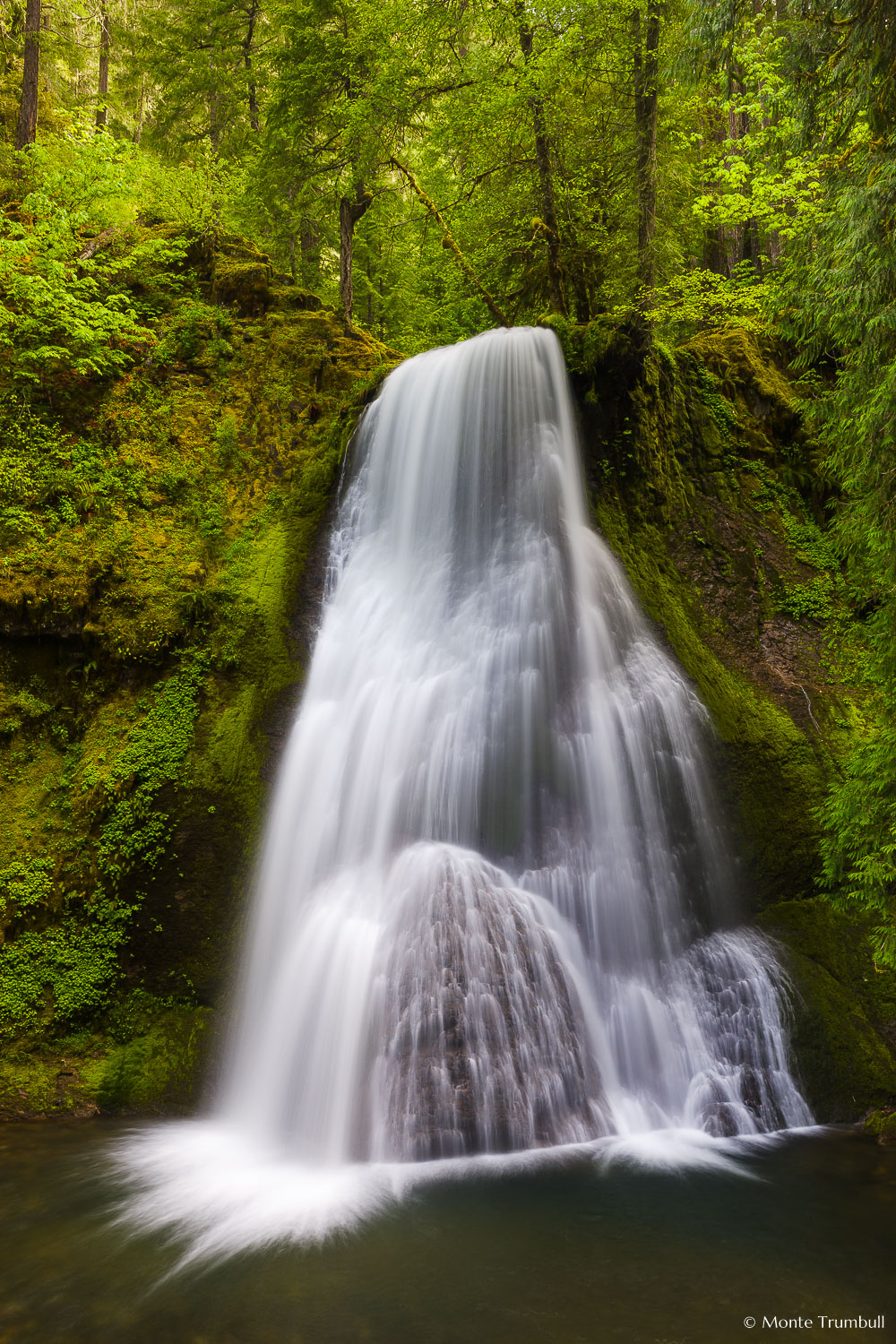 MT-20130530-105212-0002-Yakso-Falls-Umpqua-National-Forest-Oregon-spring.jpg