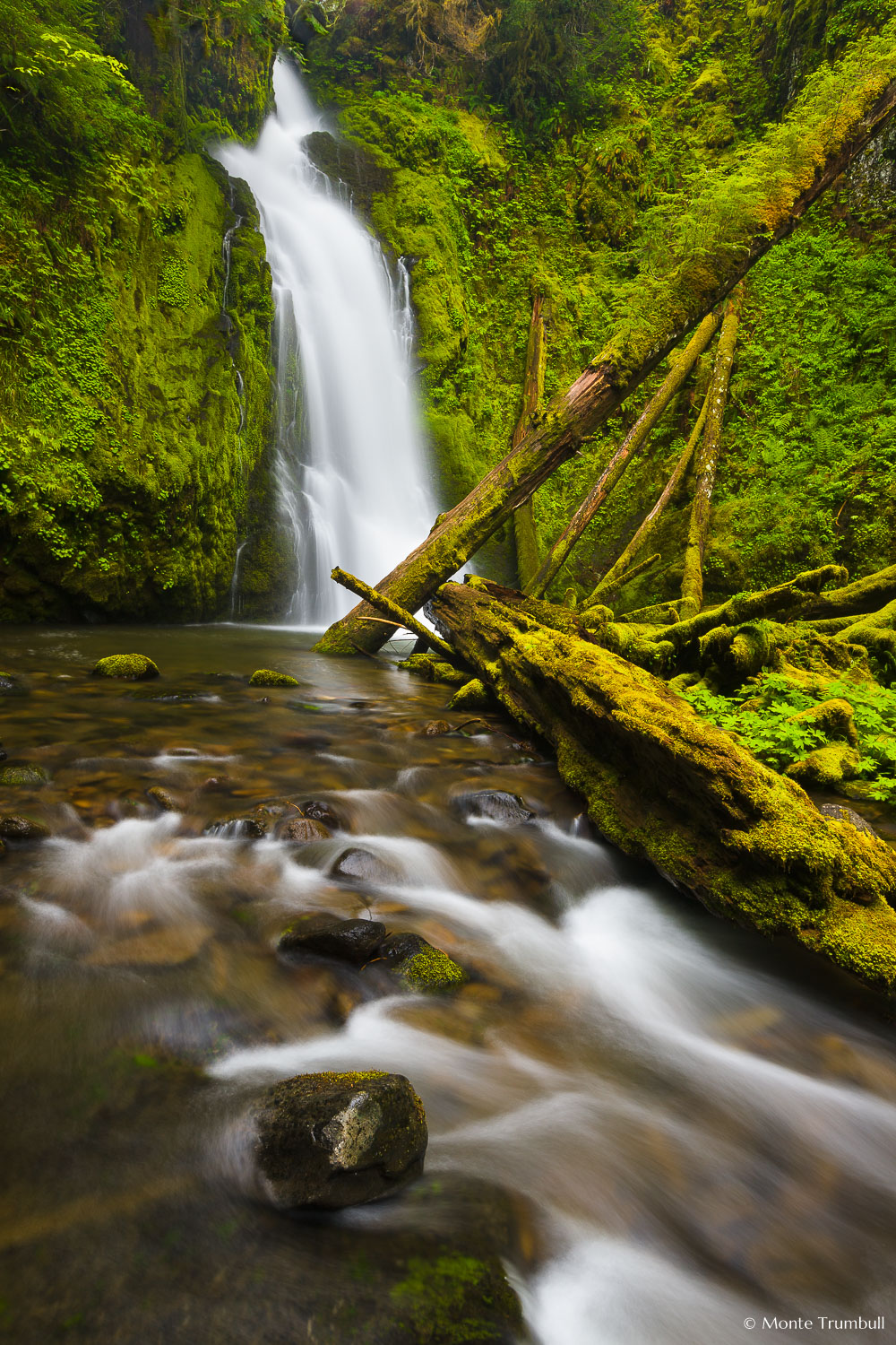 MT-20130530-123225-0048-Hemlock-Falls-Umpqua-National-Forest-Oregon-spring.jpg