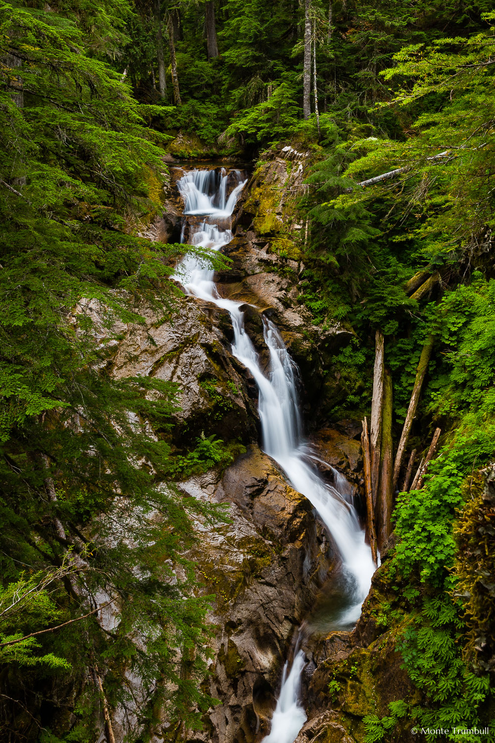 MT-20160730-082446-0041-Deer-Creek-Falls-Mount-Rainier-National-Park.jpg