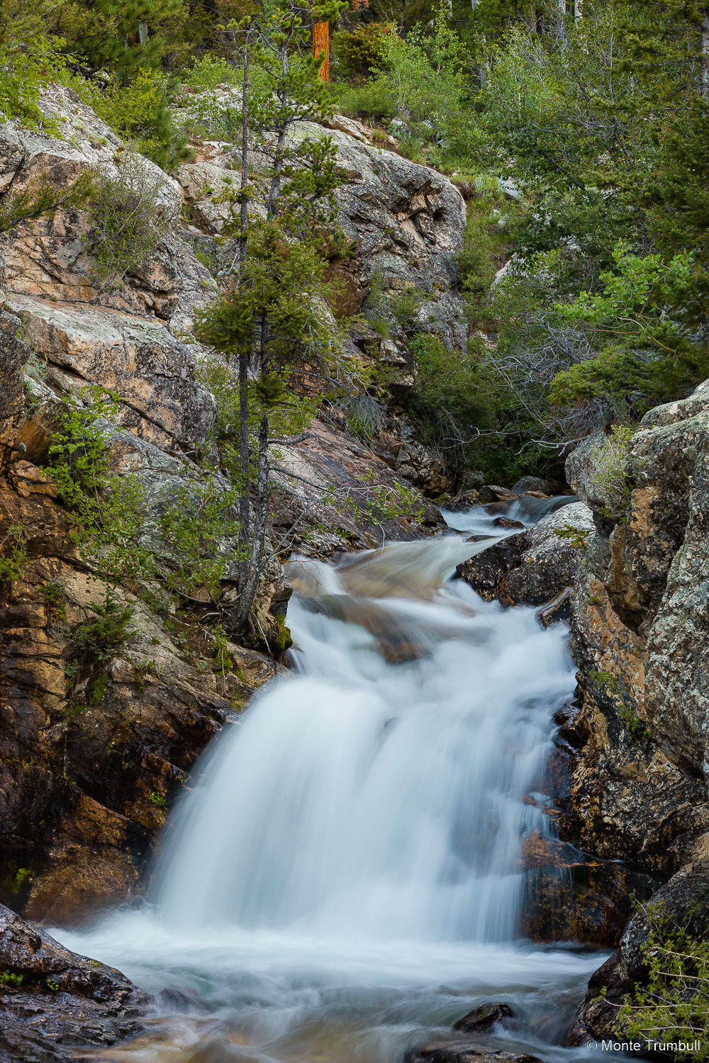 MT-20170817-070326-0015-Shavano-Falls-San-Isabel-National-Forest-Colorado.jpg