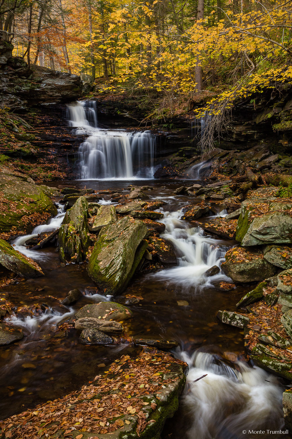 MT-20171024-153137-0167-P-BB-Ricketts-Falls-Ricketts-Glen-State-Park-Pennsylvania-Autumn.jpg