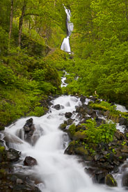 MT-20070508-060449-0003-Oregon-Columbia-Gorge-Wahkeena-Falls.jpg