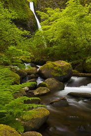 MT-20070509-083410-0066-Oregon-Columbia-Gorge-Ponytail-Falls.jpg