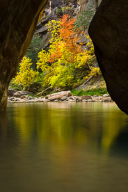 MT-20121108-144209-0069-Utah-Zion-National-Park-Narrows-fall-color-reflection.jpg