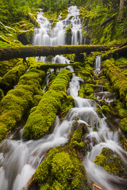 MT-20130523-153511-0069-Upper-Proxy-Falls-Willamette-National-Forest-Oregon-spring.jpg