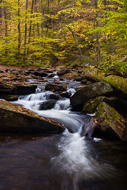 MT-20171023-160802-0110-Rickettes-Glen-State-Park-Pennsylvania-Kitchen-Creek-Autumn.jpg
