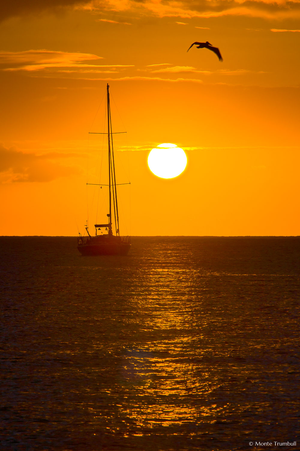 MT-20080218-181053-Anguilla-Road-Bay-sunset-sailboat.jpg