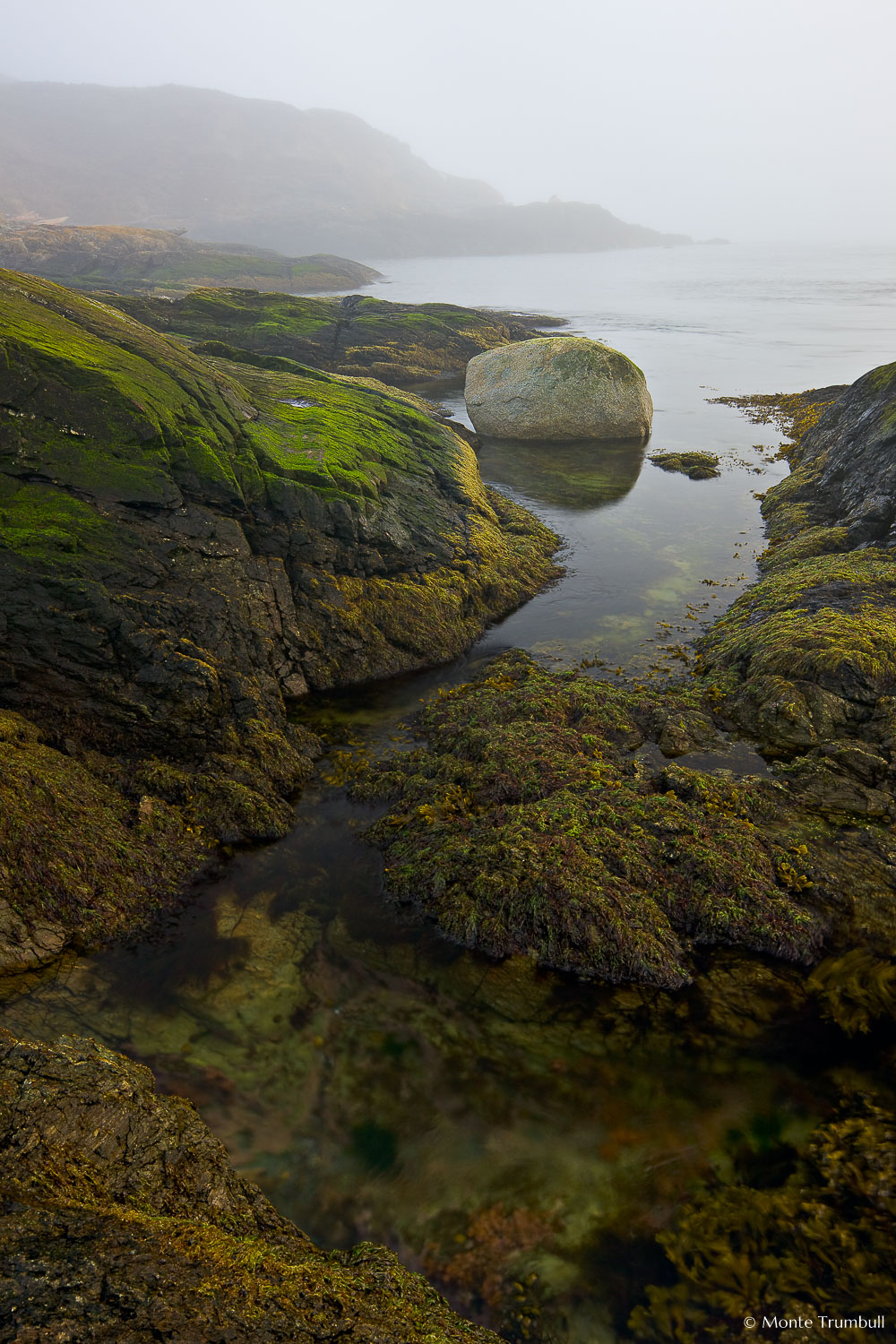 MT-20080409-072700-0008-Edit-Washington-San-Juan-Islands-fog-rock.jpg