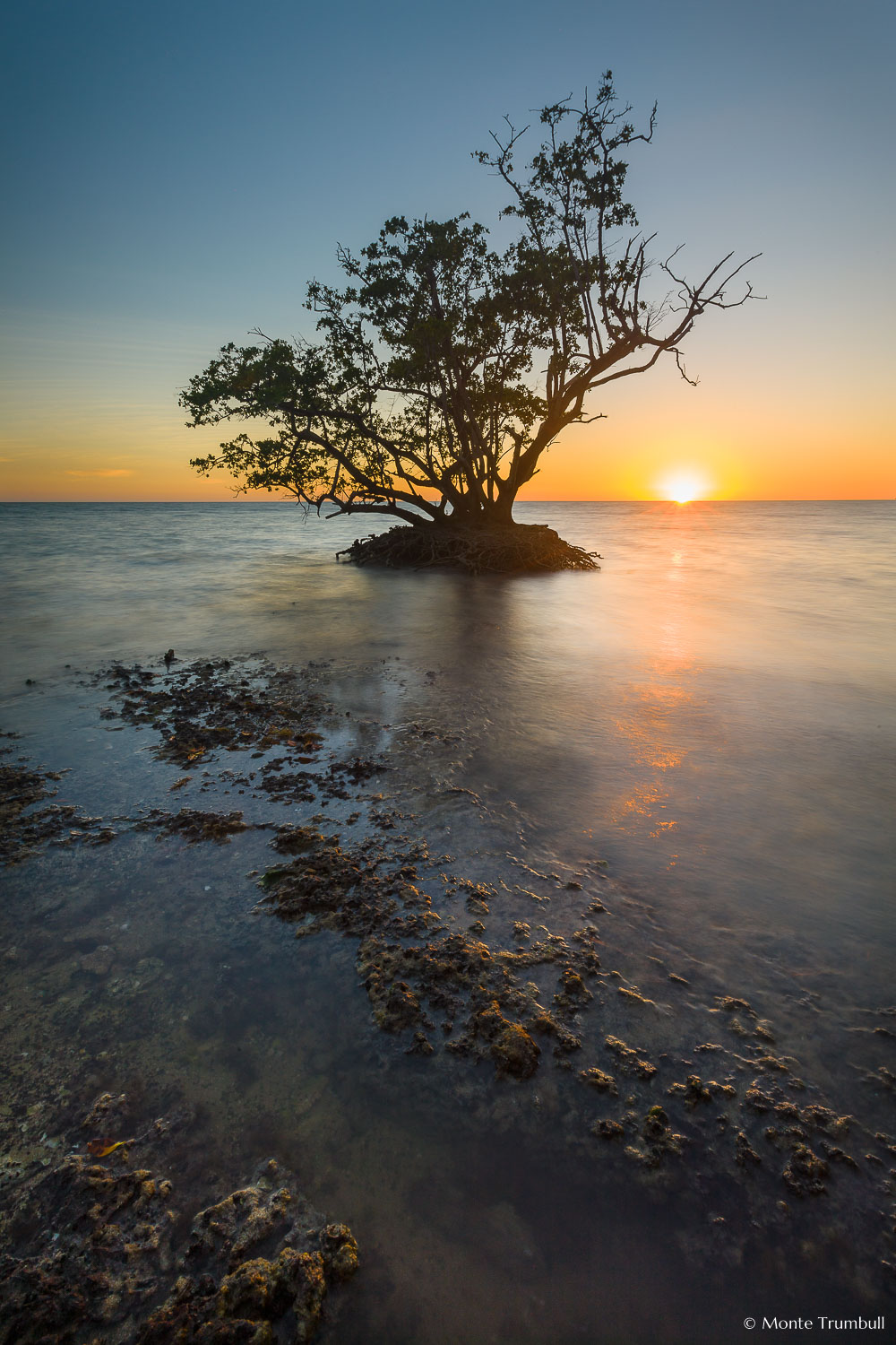 MT-20130221-182015-0067-mangrove-sunset-everglades.jpg