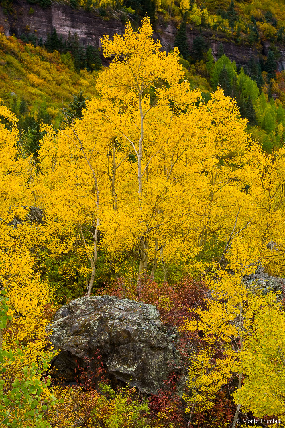 MT-20070929-105841-0056-Edit-Colorado-aspen-rock-fall-color.jpg