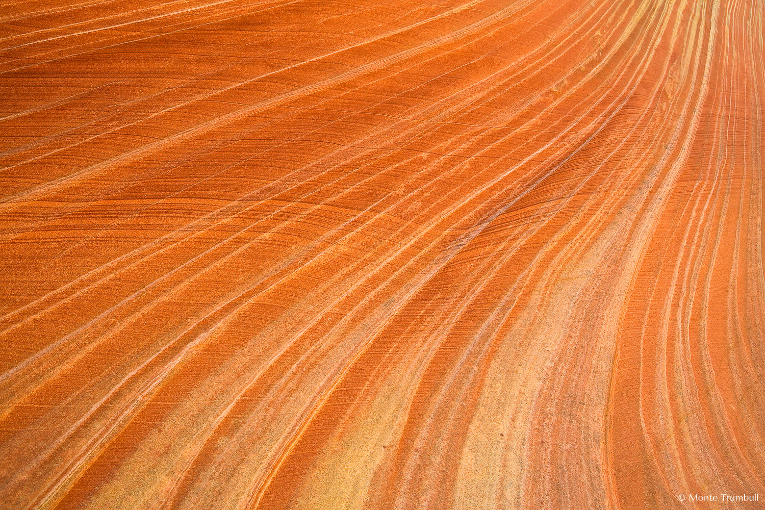 MT-20071106-143004-0037-Edit-Arizona-The-Wave-red-rock-pattern.jpg