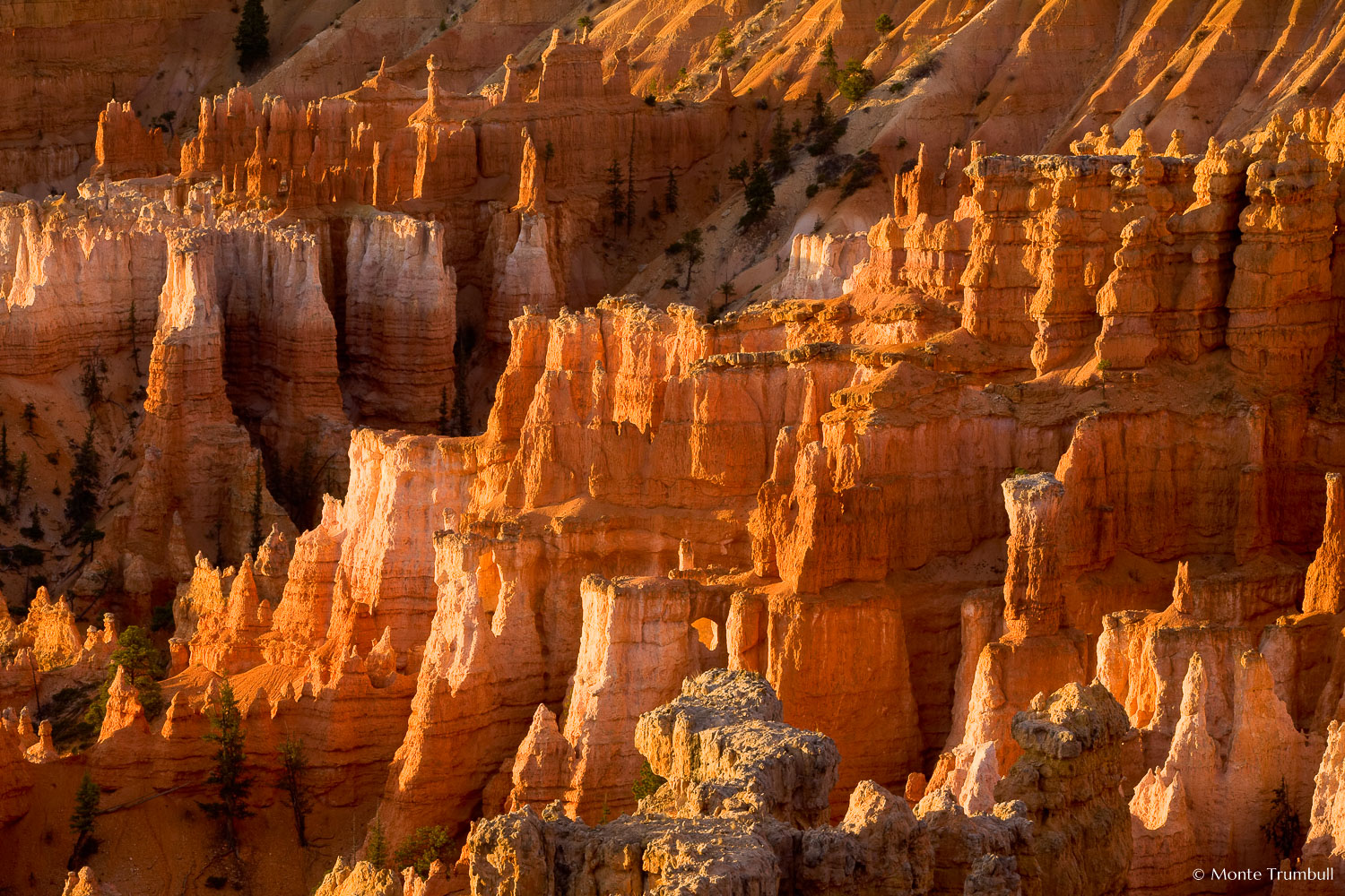 MT-20071107-072538-0023-Edit-Utah-Bryce-Canyon-National-Park-spires-glow-sunrise.jpg