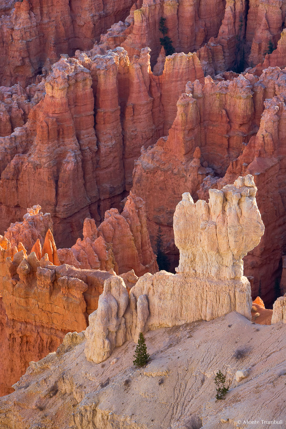 MT-20071108-081300-0057-Edit-Utah-Bryce-Canyon-National-Park-spires-glow.jpg