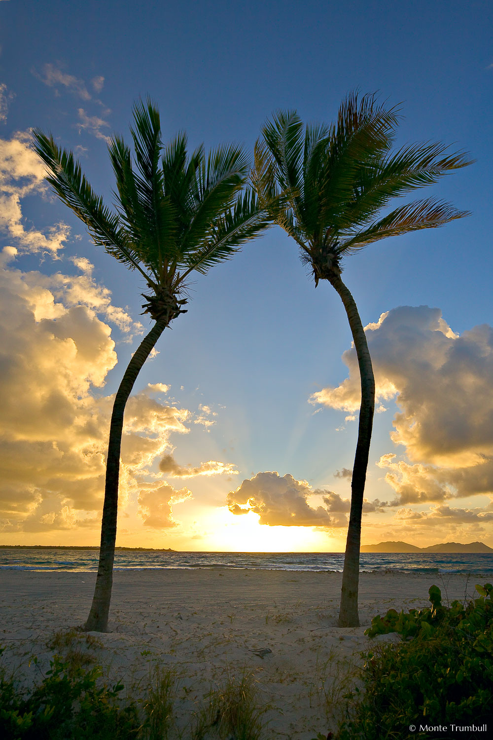 MT-20080218-070133-0013-Edit-Anguilla-twin-palm-trees-sunrise.jpg