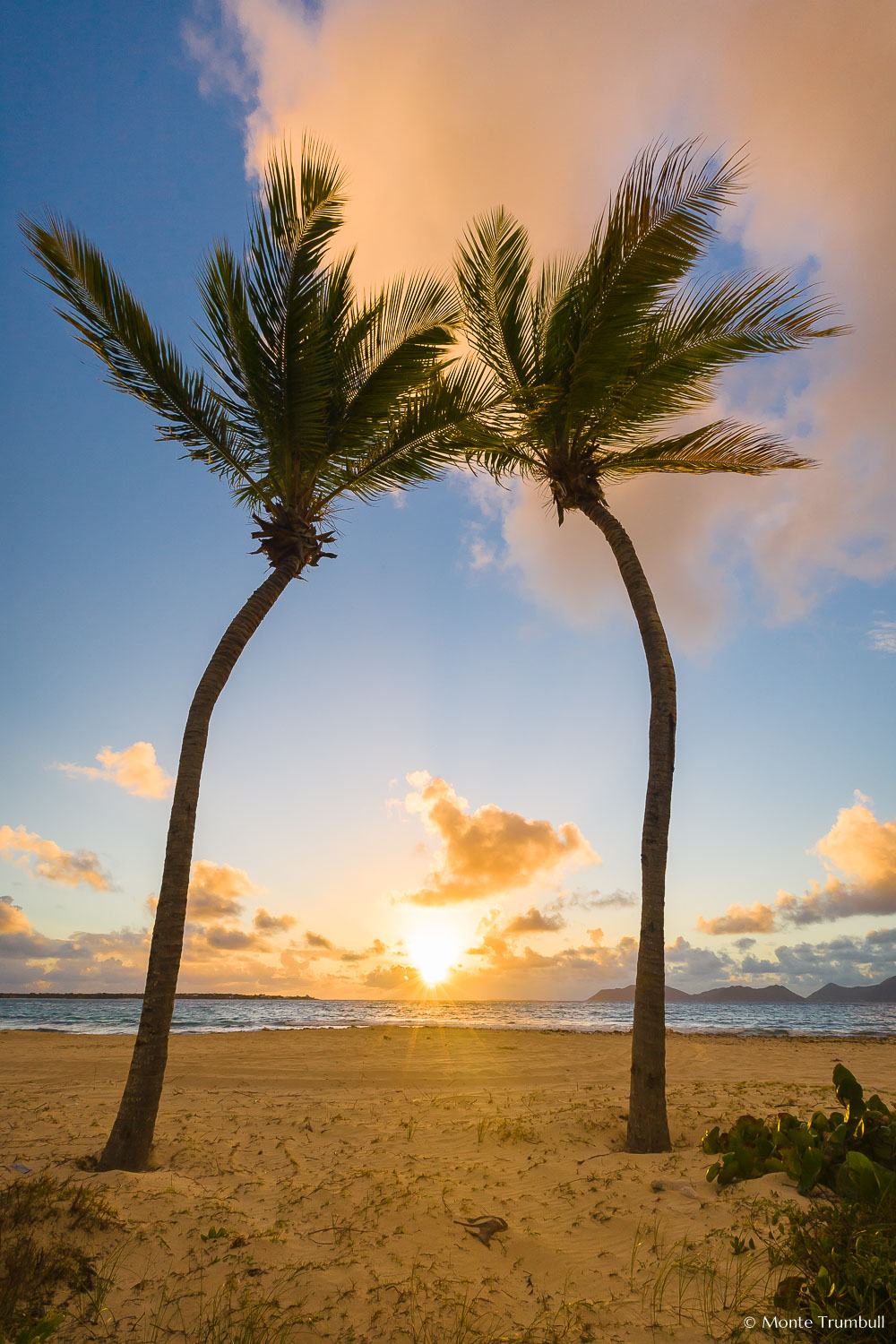 MT-20080221-065005-0020-Anguilla-twin-palm-trees-sunrise.jpg