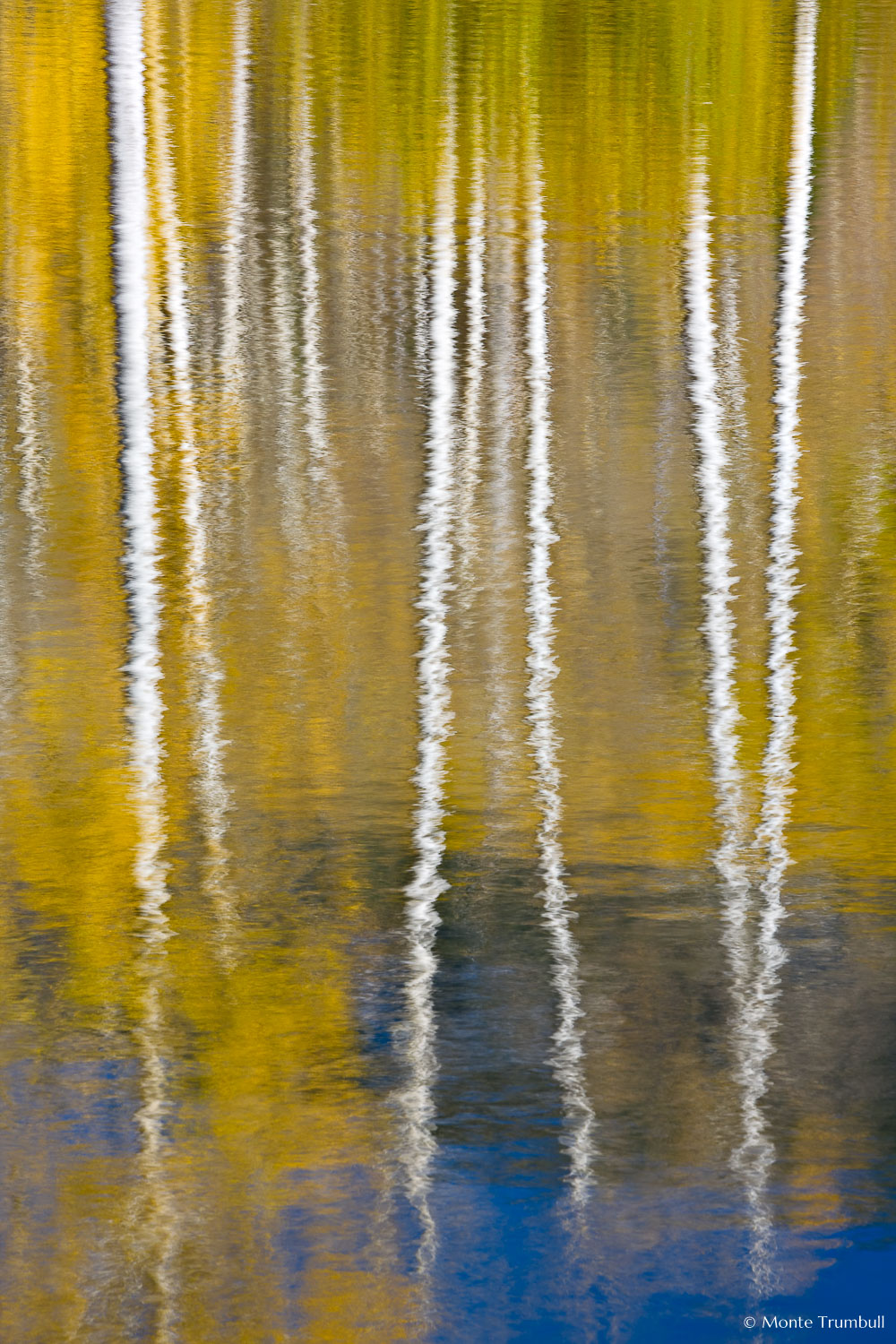 MT-20081008-164848-0103-Edit-Colorado-Woods-Lake-reflection-aspen-gold.jpg