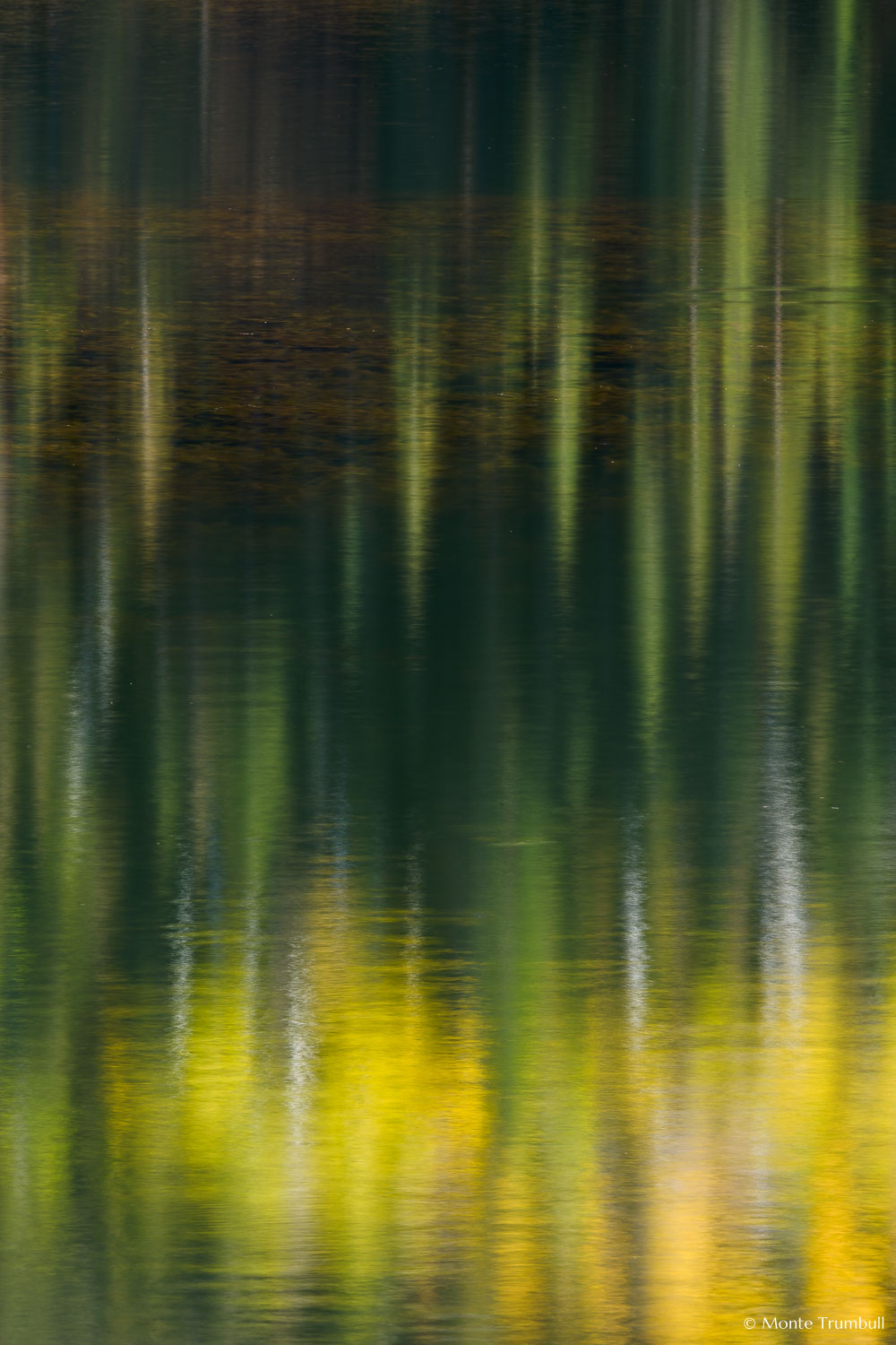 MT-20081008-165133-0106-Colorado-Woods-Lake-reflection-gold-green.jpg