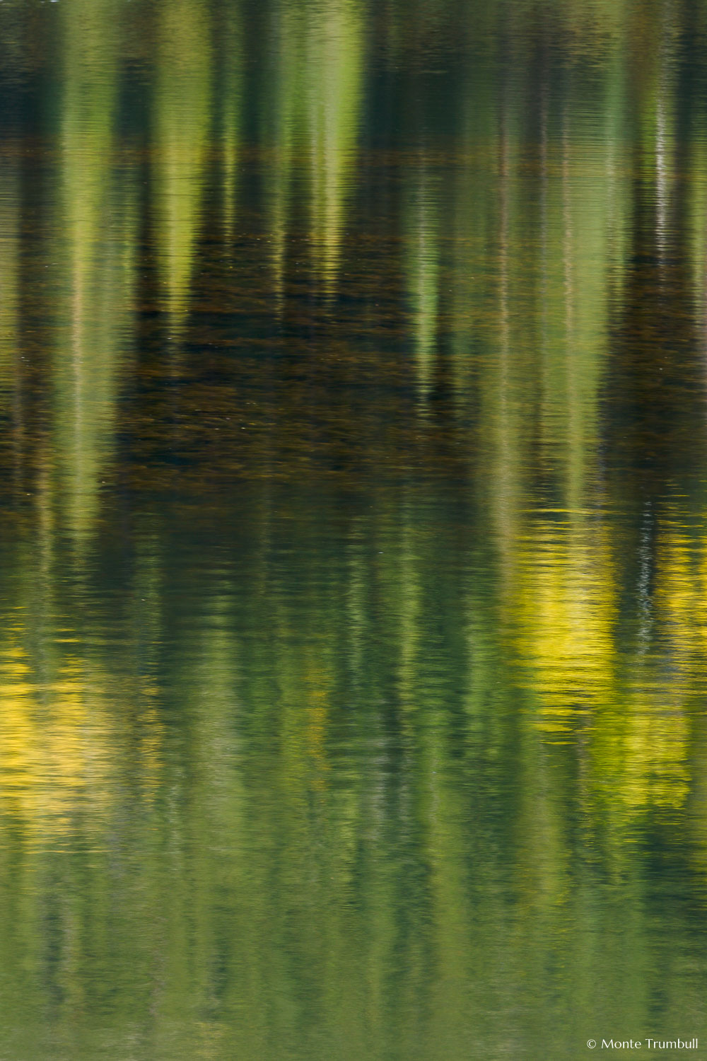 MT-20081008-165238-0108-Colorado-Woods-Lake-reflection-gold-green.jpg