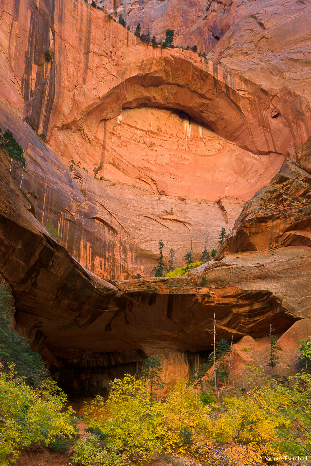 MT-20101102-144944-Utah-Zion-National-Park-Double-Arch-Alcove-fall-color.jpg