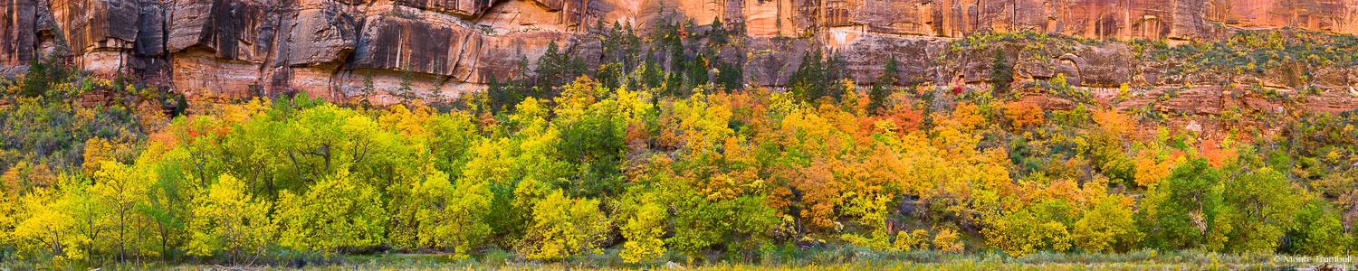 MT-20101105-161212-0054-Pano10-Utah-Zion-National-Park-Big-Bend-fall-color-panorama.jpg
