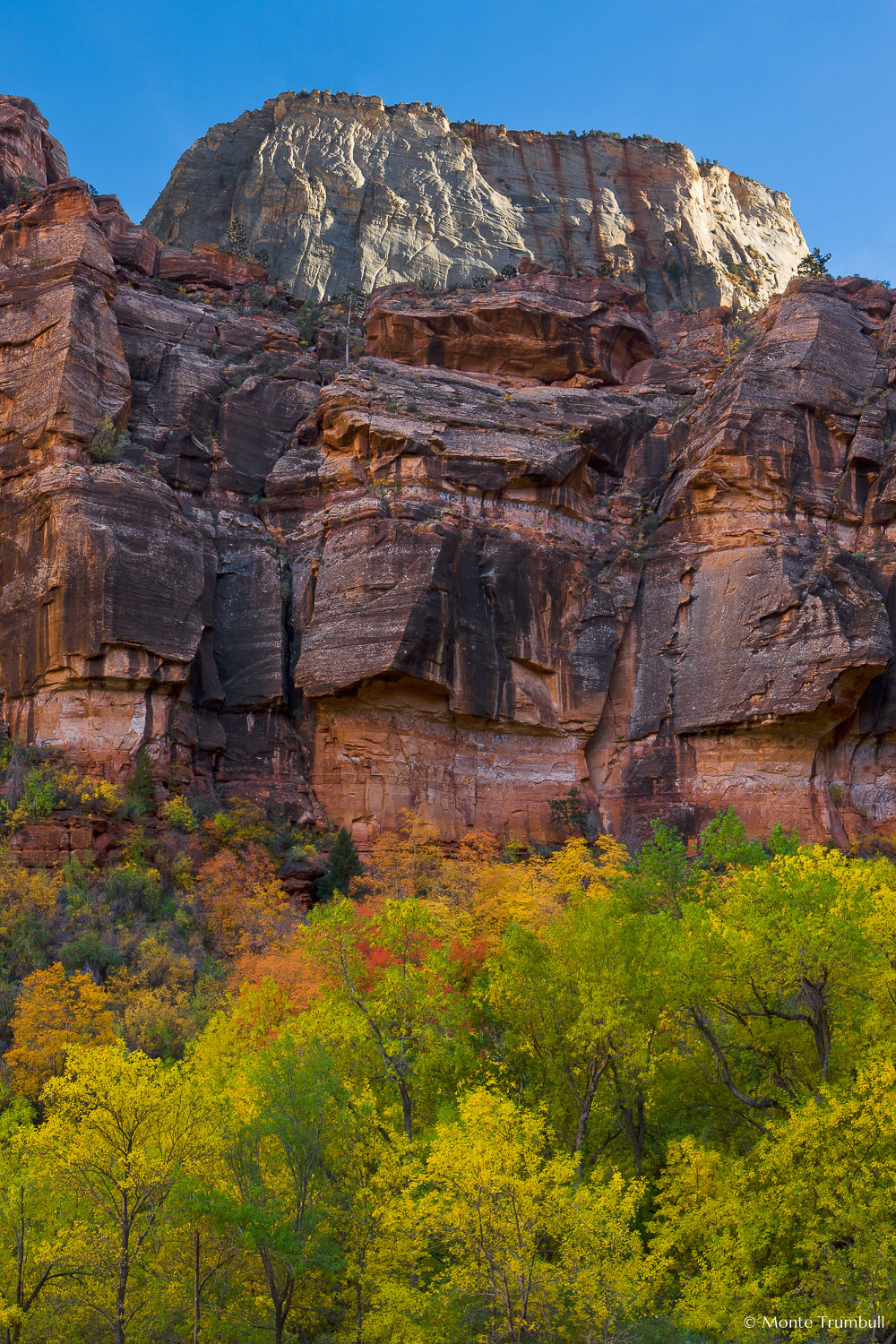 MT-20101105-161531-Utah-Zion-National-Park-Great-White-Throne-fall-color.jpg