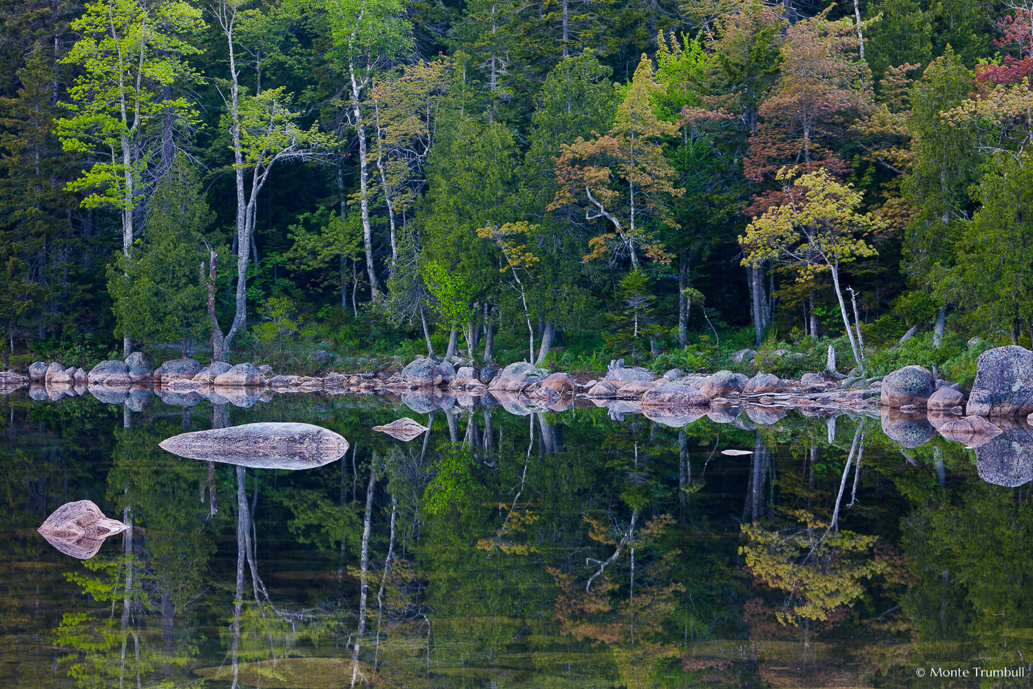 MT-20110607-061458-0008-Maine-Acadia-National-Park-Jordan-Pond-Reflection.jpg