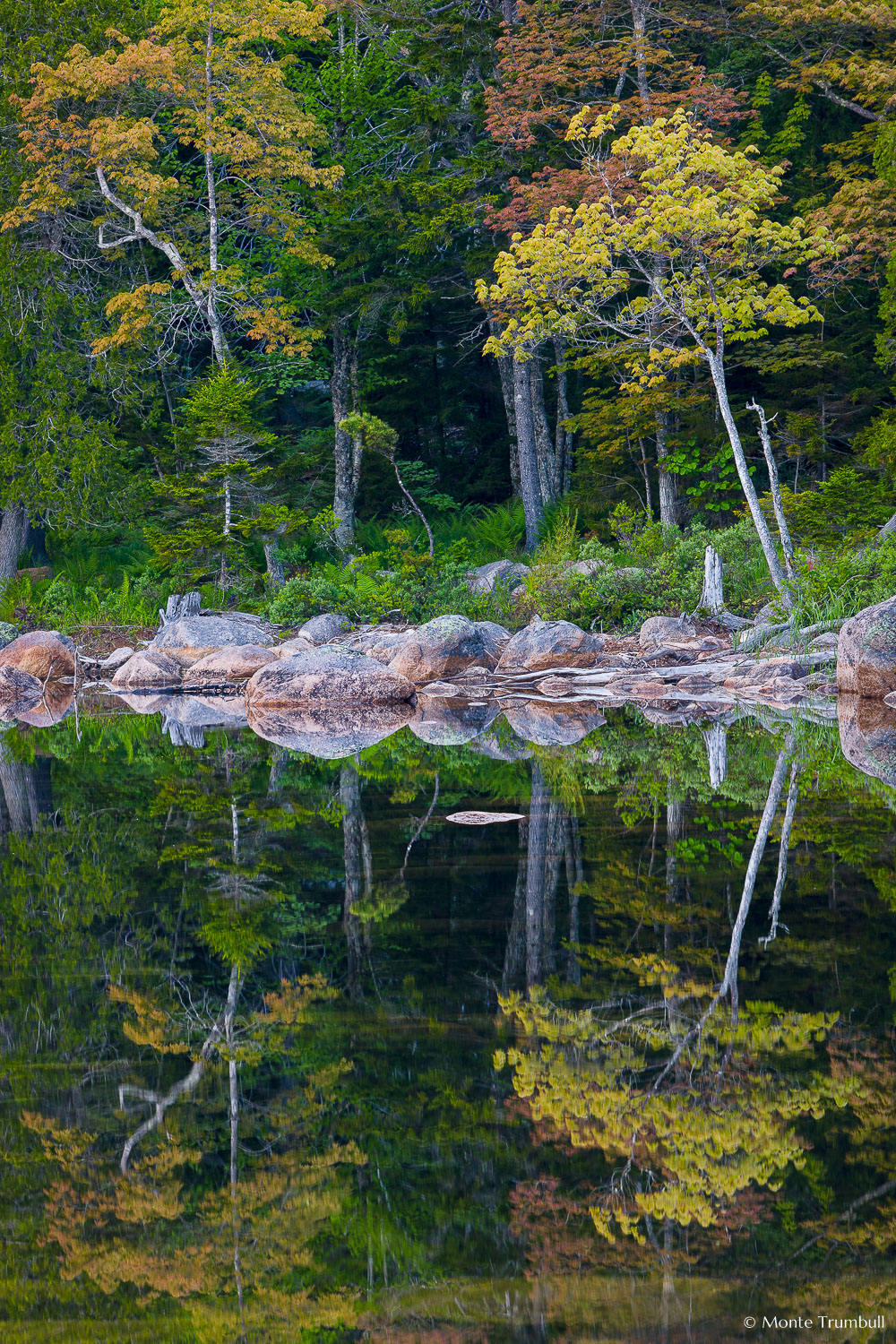 MT-20110607-061634-0009-Maine-Acadia-National-Park-Jordan-Pond-Reflection.jpg