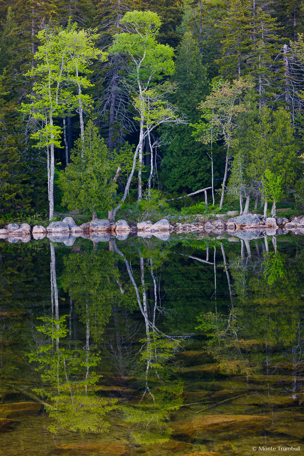 MT-20110607-062946-0013-Maine-Acadia-National-Park-Jordan-Pond-Reflection.jpg