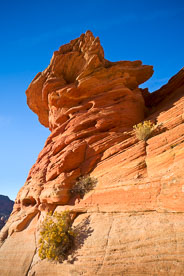 MT-20071105-162129-0012-Edit-Arizona-Coyote-Buttes-sandstone-fins-blue-sky.jpg