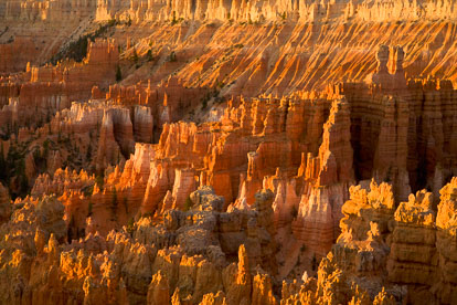 MT-20071107-071516-0009-Edit-Utah-Bryce-Canyon-National-Park-spires-glow-sunrise.jpg
