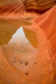 MT-20071210-145636-0015-Edit-Arizona-The-Wave-red-rock-puddles.jpg