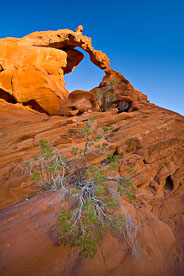 MT-20080131-160801-Nevada-Valley-of-Fire-State-Park-Ephemeral-Arch.jpg