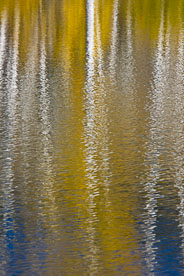 MT-20081008-164131-0088-Edit-Colorado-Woods-Lake-reflection-aspen-gold.jpg