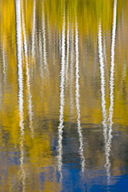 MT-20081008-164848-0103-Edit-Colorado-Woods-Lake-reflection-aspen-gold.jpg
