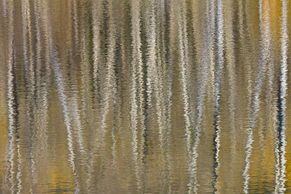 MT-20081008-165448-0110-Edit-Colorado-Woods-Lake-reflection-aspen-gold.jpg