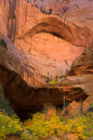 MT-20101102-144944-Utah-Zion-National-Park-Double-Arch-Alcove-fall-color.jpg