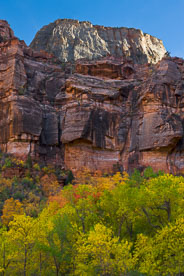 MT-20101105-161531-Utah-Zion-National-Park-Great-White-Throne-fall-color.jpg