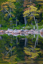 MT-20110607-061634-0009-Maine-Acadia-National-Park-Jordan-Pond-Reflection.jpg
